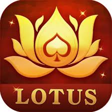teen patti livi download